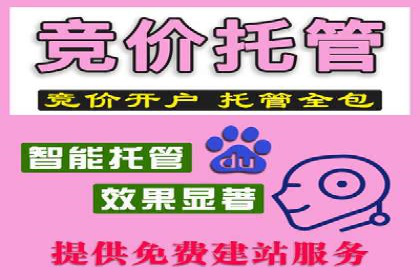 行业领先企业的sem代运营机构合作经验分享
